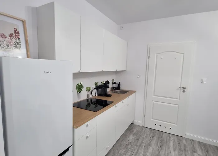 Apartment Chopina Iv