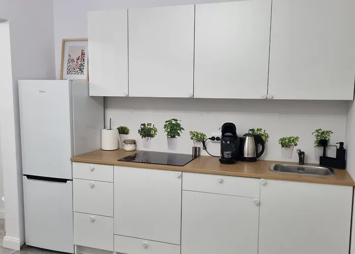 Apartment Chopina Iv